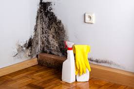 Best Mold Prevention Services  in Middletown, MD